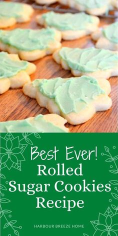 the best ever rolled sugar cookies recipe