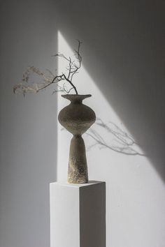 a white vase with a plant in it sitting on top of a pedestal next to a wall