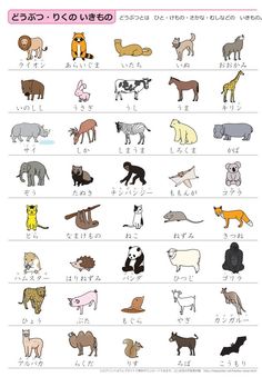 an animal chart is shown with different animals