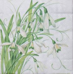 a bunch of white flowers on a blue background with some green stems in the foreground