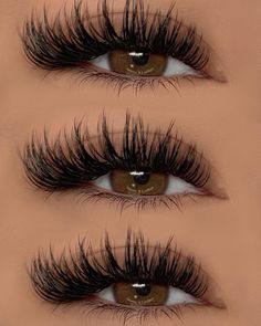 Doll Lashes, Lash Map, Best Lash Extensions, Hair Tint