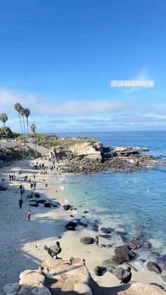 people are walking on the beach next to some rocks and water with palm trees in the background