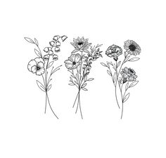 three different types of flowers are shown in this black and white photo, one is drawn with