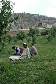 two men sitting on the grass in front of an olive tree with a hill in the background