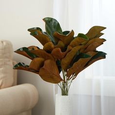 a white vase filled with lots of green leaves on top of a wooden table next to a couch