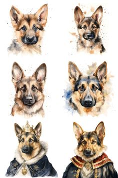 four german shepherd dogs in different poses, each wearing a crown and dress coat on their head