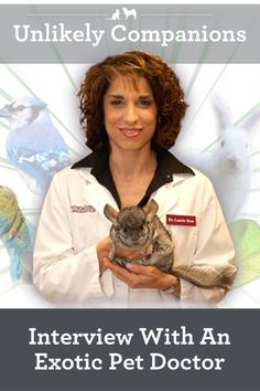 a woman holding a cat in her hands with the caption, interview with an exotic pet doctor