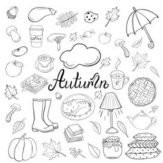 the word autumn surrounded by doodles and fall items stock photo - image 348976