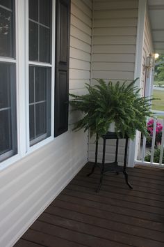 a potted plant is sitting on the front porch