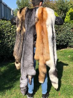 Animal Pelt Decor, Fox Breeds, Animal Taxidermy, Viking Costume, Animal Fur, Mens Fur, Fur Throw, White Fox, Silver Fox