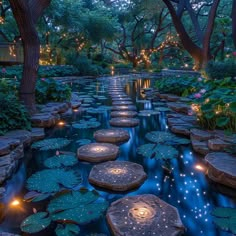 a garden with lots of water lilies and lights on the rocks in the pond