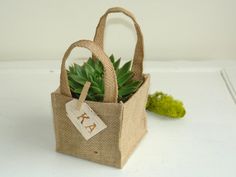 a burlap bag with a succulent in it and a tag on the handle