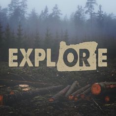 the word explore is surrounded by logs in front of foggy trees and forest floor