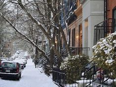 a snowy street with cars parked on the side and trees covered in snow next to buildings