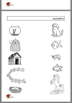 an arabic language worksheet with pictures of animals and their homes in the background