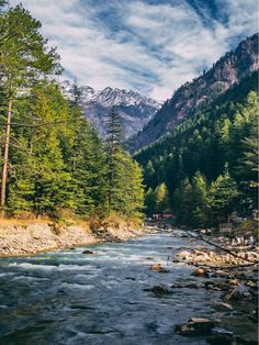 a river flowing through a lush green forest filled with trees and snow covered mountains in the distance