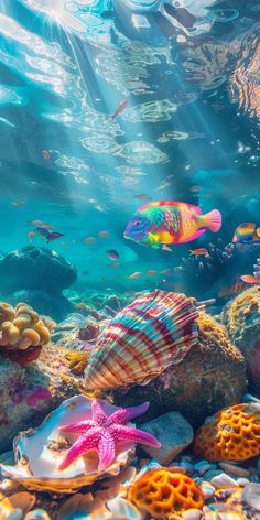 an underwater scene with corals and starfish in the water, surrounded by other marine life