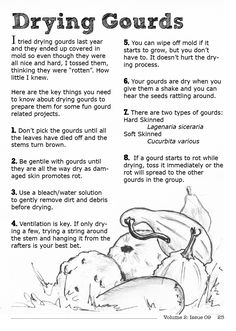 the instructions for drying gourds are shown in black and white, with an image of