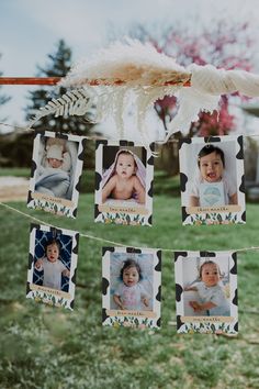 a baby's first year photo hanging on a clothes line with feathers attached to it