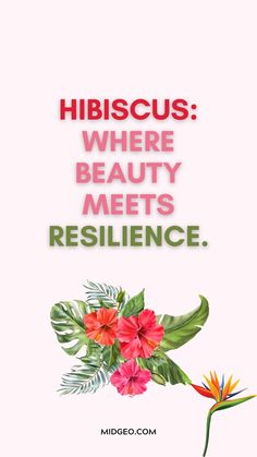 a pink background with flowers and the words hibiscus where beauty meets resilice