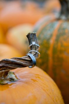 a wire wrapped around an orange pumpkin