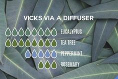 For Sore Throat, Fall Diffuser Blends, List Of Essential Oils, Essential Oil Spray