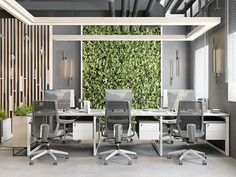 an office with two desks and chairs in front of a wall covered with green plants