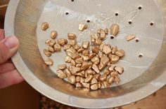 a person holding a metal bowl filled with gold nuggets on top of it