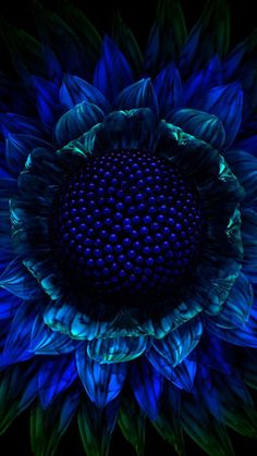 a large blue flower with green leaves on it's center and petals in the middle