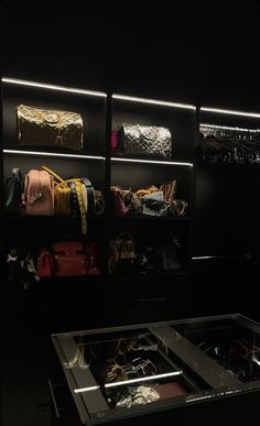 a display case filled with lots of purses and handbags in a dark room