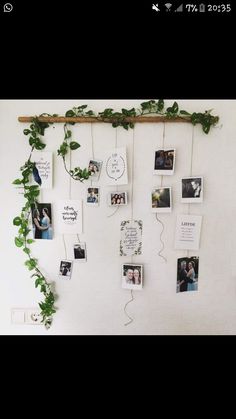 a bunch of pictures hanging on a wall next to a wooden stick and some plants