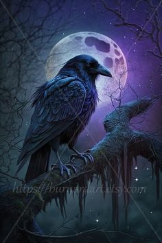 a black bird sitting on top of a tree branch in front of a full moon