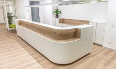 an office reception area with white walls and wood flooring, along with a plant on the counter