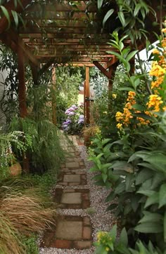 an outdoor garden with lots of plants and flowers on the ground, along with a stone path