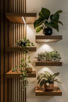 three wooden shelves with plants on them and lights above the planters in the corner