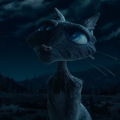 a cat with blue eyes staring at the sky