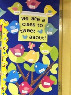 a bulletin board with birds and trees on it that says we are a class to tweet about