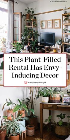 this plant - filled rental has envy - indicting decor for every apartment's needs