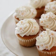 cupcakes with white frosting and sprinkles sit on a plate