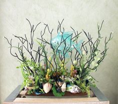 an arrangement of plants and seashells on a table