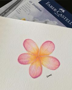 a drawing of a pink flower on paper