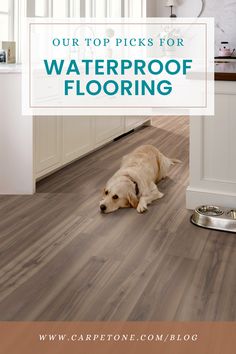 a dog laying on the floor in front of a kitchen with waterproof flooring