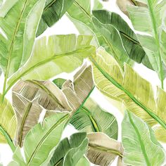 watercolor painting of green leaves on a white background, seamless pattern stock photo