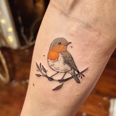 Robin Tattoo Vector Art Robin Tattoo Design, Robin Tattoos, Tattoos Powerful, Finch Tattoo, Robin Bird Tattoos, Robin Tattoo, Tattoo Vector, Robin Bird, Memorial Tattoos