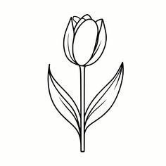 Crafts Cricut, Floral Graphics, Spring Tulips, Png Files, Crafts To Make, Tulips, Art Images, Beauty Book, Craft Projects