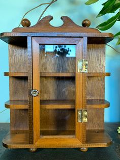 a wooden shelf with glass doors on it and a potted plant in the background