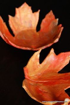 two red and yellow leaves on a black surface