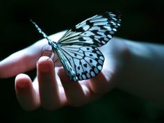 a hand holding a butterfly with the words for give others as quickly as you expect god to