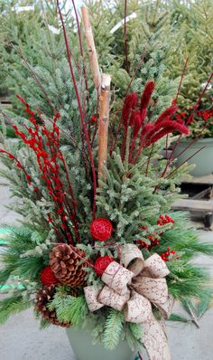 a potted plant with red berries and pine cones in it's centerpiece