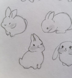 four different drawings of rabbits on paper